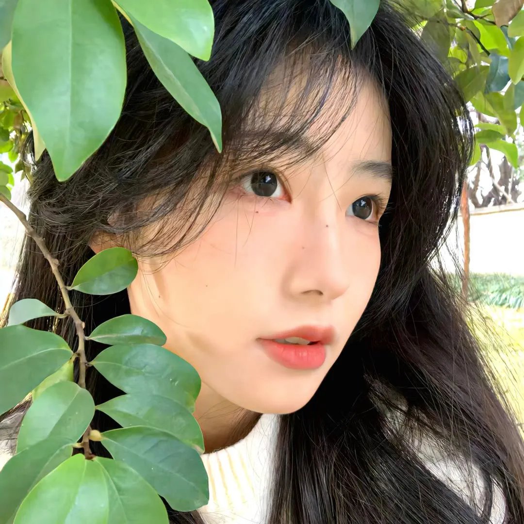 异轨姝途